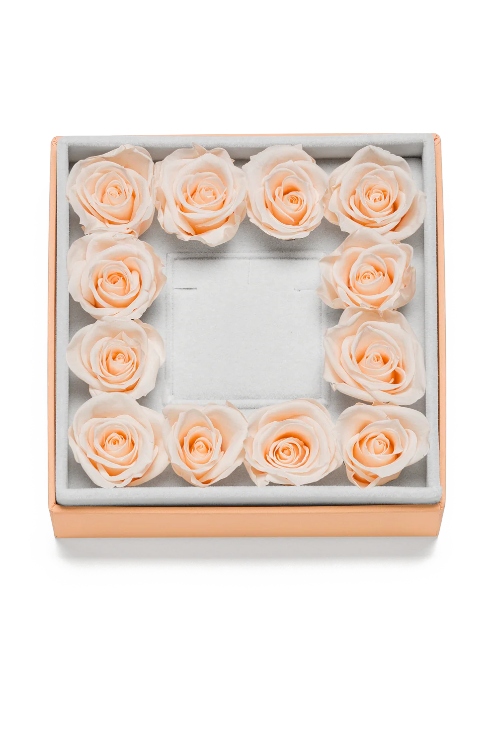 Empty Rosebox Square Pastel